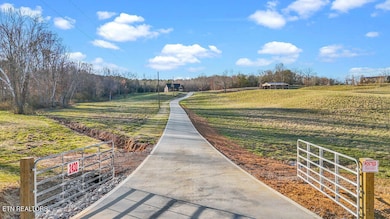 004_dji_20250303163236_0191_d_522