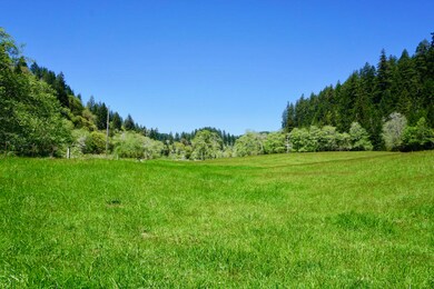 irrigated pasture