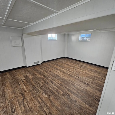 909 Saint Julian St unit 2, Pekin, IL 61554 - photo 5