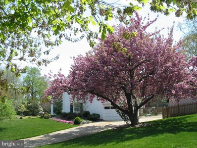 829 Emerald Dr, Alexandria, VA 22308 - photo 3