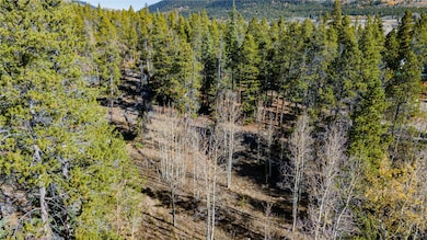 235 Willow Ln, Fairplay, CO 80440 - photo 5