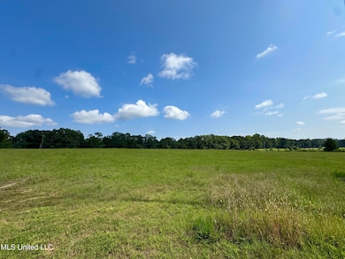 R5 Old Highway 16, Benton, MS 39039 - photo 4