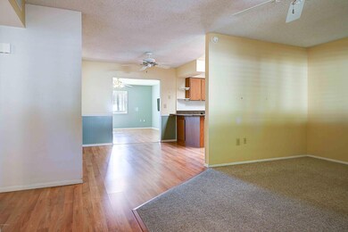 10415 W Desert Forest Circle-1