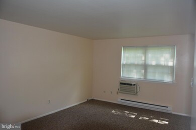 178 Elephant Rd unit C29, Dublin, PA 18917 - photo 4