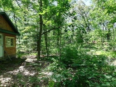 9030 12th Ave, Bitely, MI 49309 - photo 5