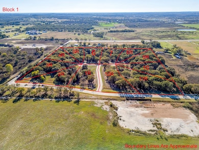 10217 Belle Oak Ct, Burleson, TX 76028 - photo 4