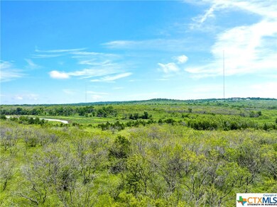 00 Tract 2 Spring Valley Rd, Other, TX 76557 - photo 5