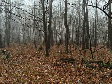 Land/Lot.
