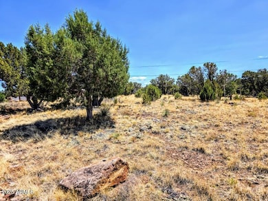 1939 Daggs Cir unit 24, Show Low, AZ 85901 - photo 4