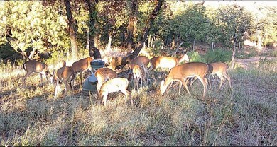 TBD Sandpiper Dr, Weatherford, TX 76088 - photo 5