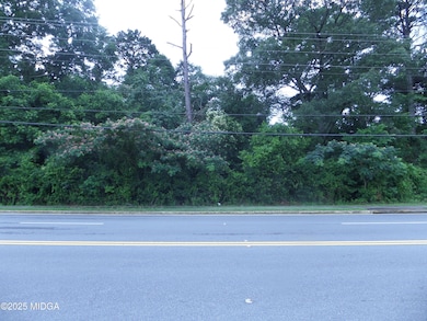 99 & 101 Green St, Warner Robins, GA 31093 - photo 4