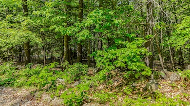 4_dji_20250605111022_0010_d1