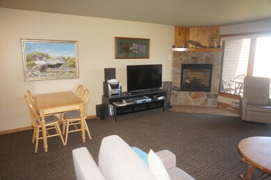 Carpeted living area featuring a fireplace and a baseboard radiator