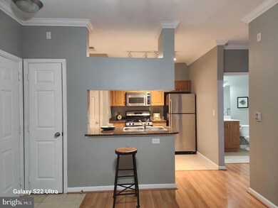 12925 Centre Park Cir unit 209, Herndon, VA 20171 - photo 7