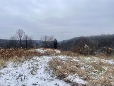 0 Mountain Bell Rd unit 2434302, Coolville, OH 45723 - photo 3