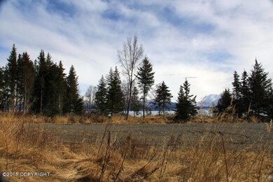 IMG_1065
