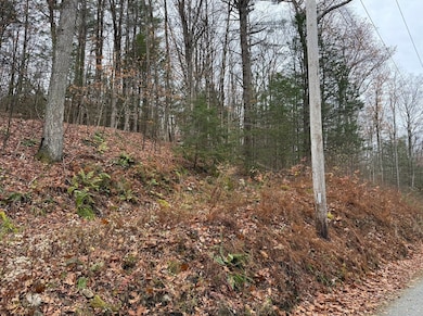 0 Old Farley Rd, Wendell, MA 01379 - photo 5