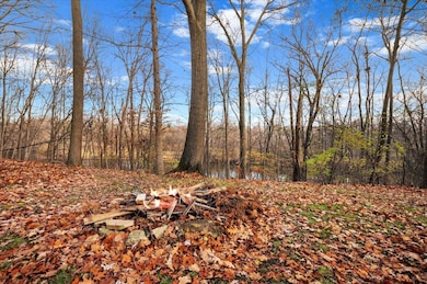 6786 River Rd, Flushing, MI 48433 - photo 7