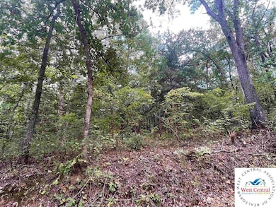 22070 County Rd 254l Rd unit Lots 23, 24, 25 & 26, Wheatland, MO 65779 - photo 7