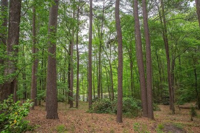 245 Preston Rd, West Monroe, LA 71291 - photo 6