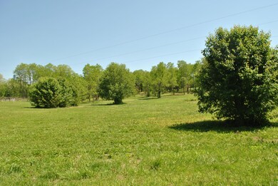 0 Misty Ln unit Parcels H,I,J, Versailles, KY 40383 - photo 7