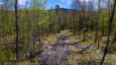 5 Ossipee Mountain Rd unit 49/5, Moultonborough, NH 03254 - photo 5