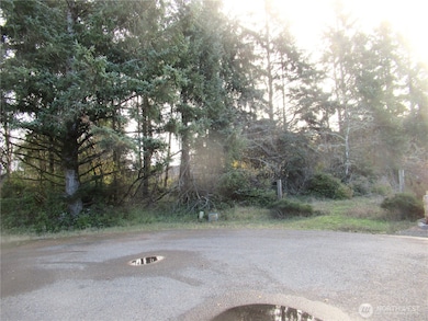 311 Sycamore Ct, Ocean Shores, WA 98569 - photo 2