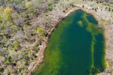 8249 Parcel A M-139, Berrien Springs, MI 49103 - photo 4