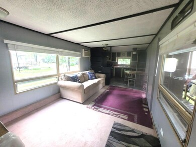 42502 240th St unit 31, Henning, MN 56551 - photo 2