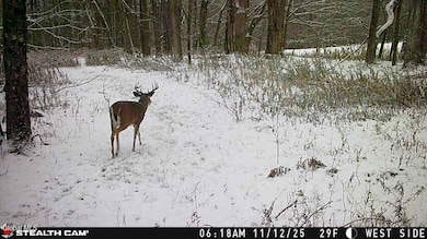 168 George Peasley Rd, Pharsalia, NY 13844 - photo 7