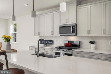 4425 Potts Ct unit 596, Owings Mills, MD 21117 - photo 7