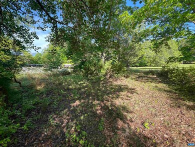 247 Roberts Ridge Ln, Nellysford, VA 22958 - photo 5