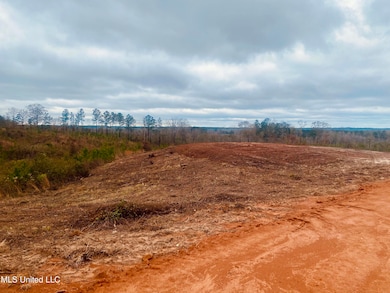 0 Saint Anne Rd, Carthage, MS 39051 - photo 2