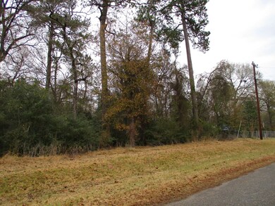Lot 63 Willow Creek Rd, Hockley, TX 77447 - photo 2