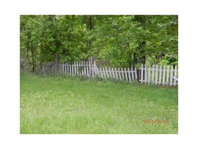 Yard/Garden.