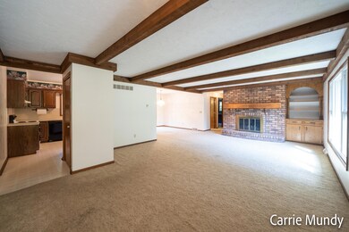4751 Butternut Ave, Holland, mi-7