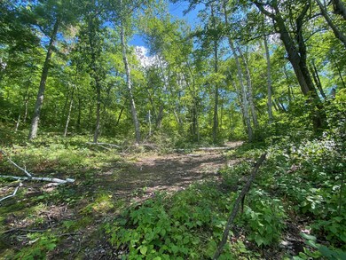 XXX Pot o Gold Rd, Oakland, WI 54830 - photo 5