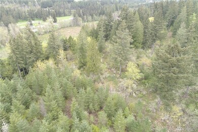 333 Highland Dr E, Roy, WA 98580 - photo 5