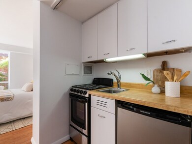 29 Concord Ave unit 102, Cambridge, MA 02138 - photo 7
