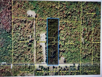 8570 U S 10, Branch Township, MI 49402 - photo 2