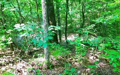 Additional View
