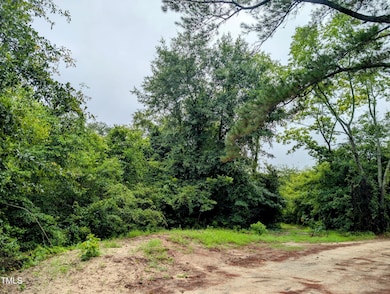 00 Flaming Star Dr, Pine Forest, NC 28356 - photo 2