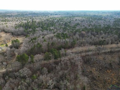 Drone / aerial view featuring a rural view
