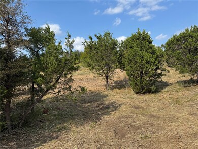 View of local wilderness