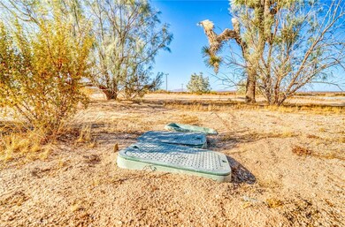 63140 Pole Rd, Joshua Tree, CA 92252 - photo 5
