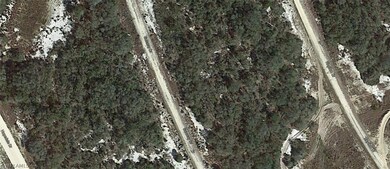 223 Sunway Dr, Lake Placid, FL 33852 - photo 3