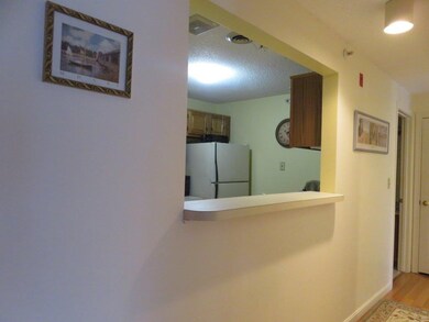 11 Bartemus Trail unit U207, Nashua, NH 03063 - photo 3