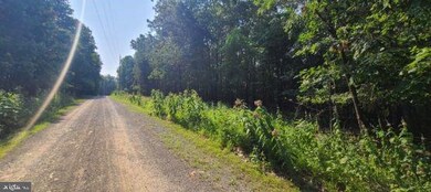 0 Roundtop Ln unit WVMO2000150, Berkeley Springs, WV 25411 - photo 3