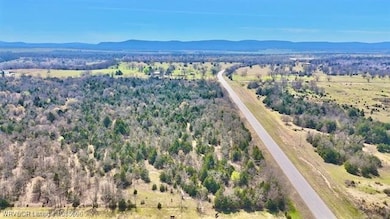 TBD Oklahoma 26, Cowlington, OK 74941 - photo 5