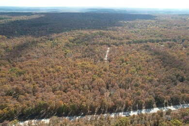 0 Tower Rd, Conway, AR 72032 - photo 5